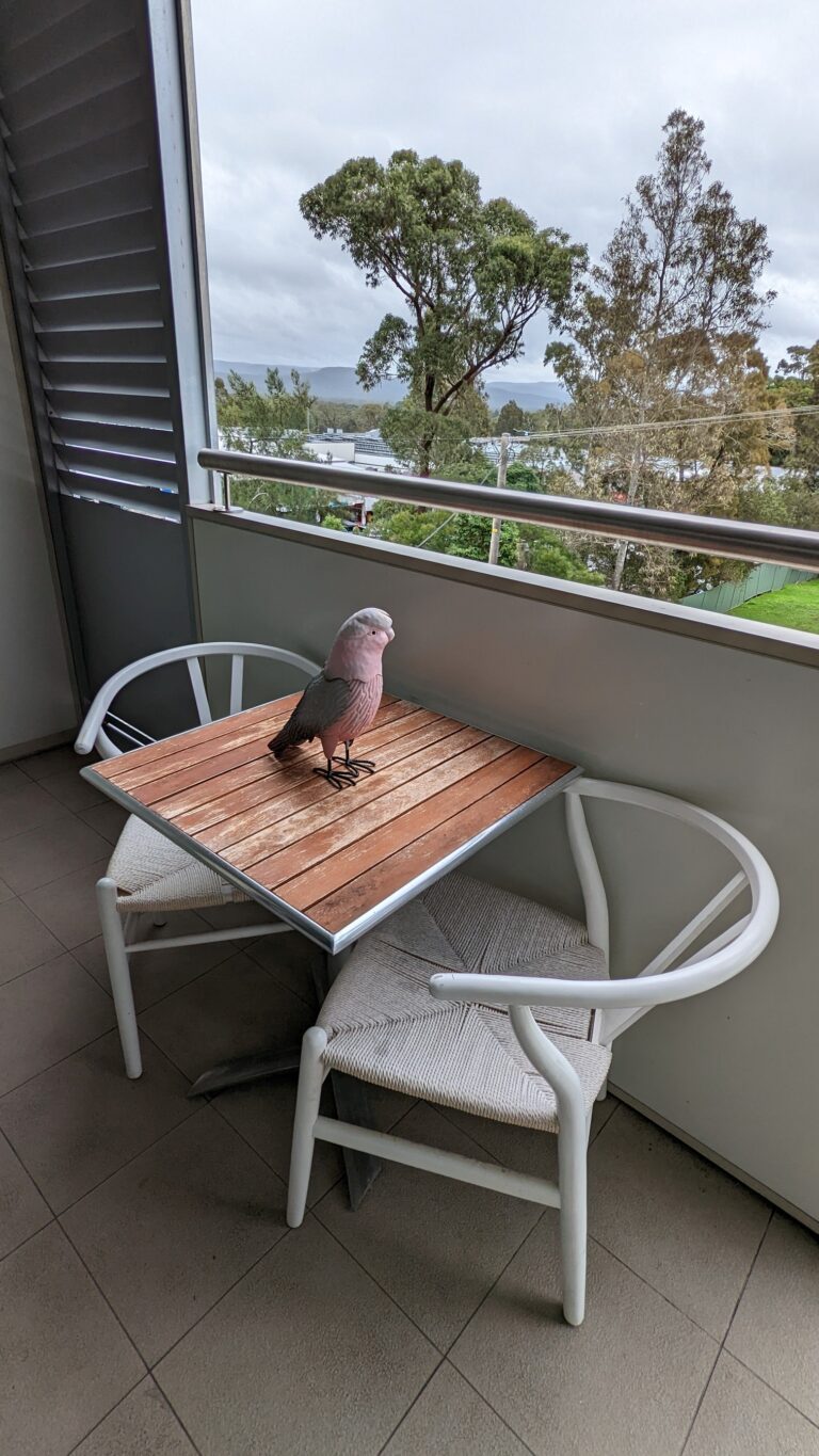 PXL_20220512_020544586